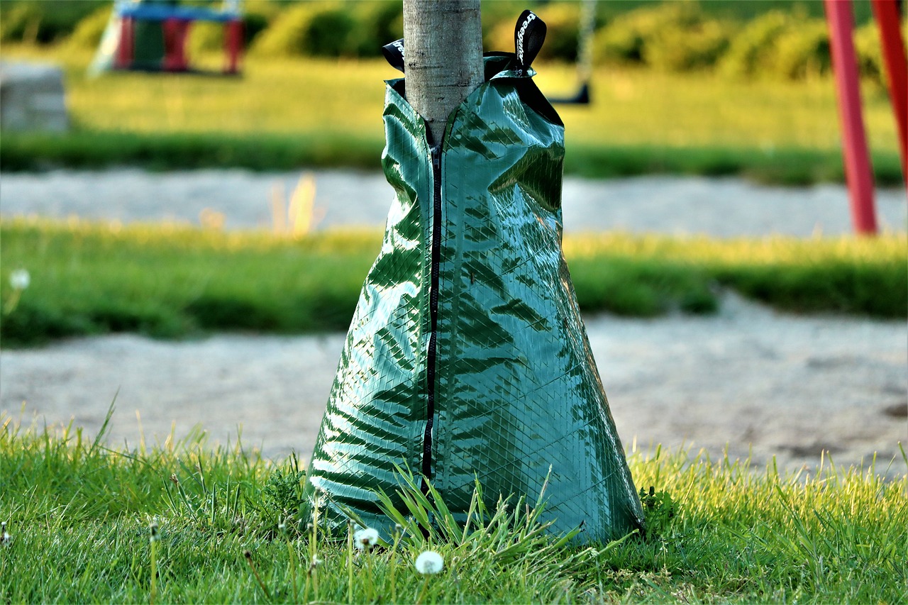How to Set Up a Drip Irrigation System